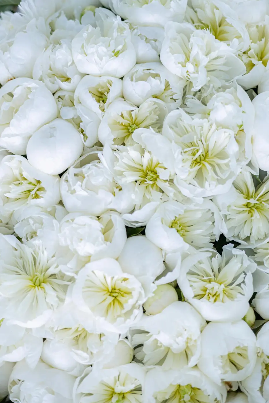 Composition florale funéraire — Balma