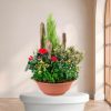 Mini Jardin — plante de deuil livrée à Toulouse