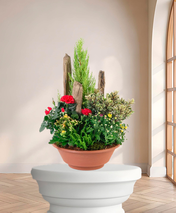 Mini Jardin — plante de deuil livrée à Toulouse