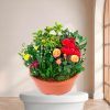 Plantes Du Souvenir — plante de deuil livrée à Toulouse