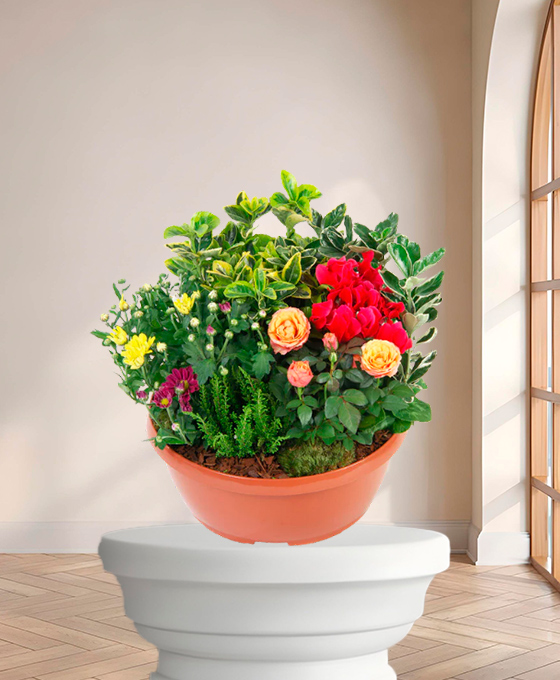 Plantes Du Souvenir — plante de deuil livrée à Toulouse